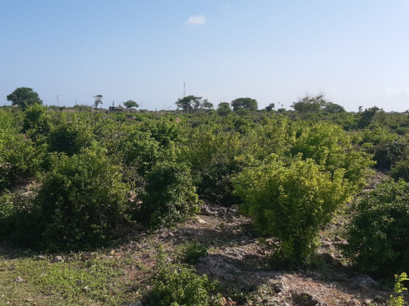 casuarina-plots-on-tarmac-quarter-acres-for-sale