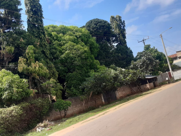 casuarina-plots-on-tarmac-quarter-for-sale