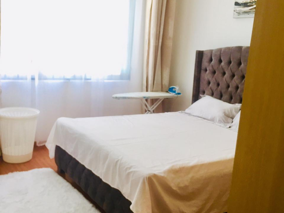 furnished-1-br-apartment-for-sale