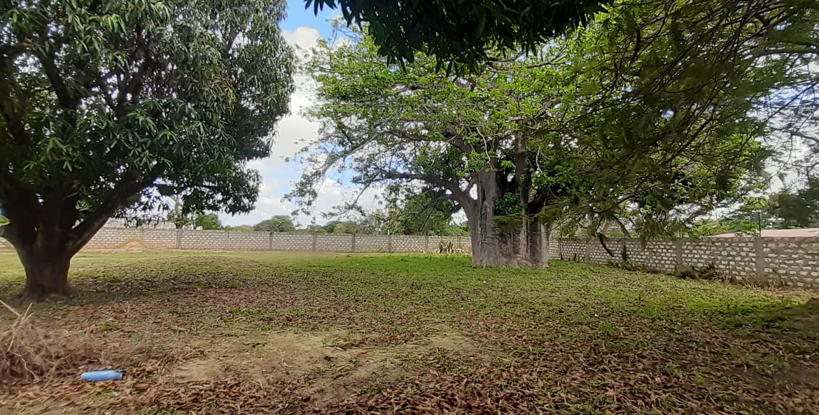 half-acre-near-light-academy-malindi-baobab