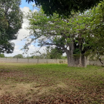 half-acre-near-light-academy-malindi-baobab