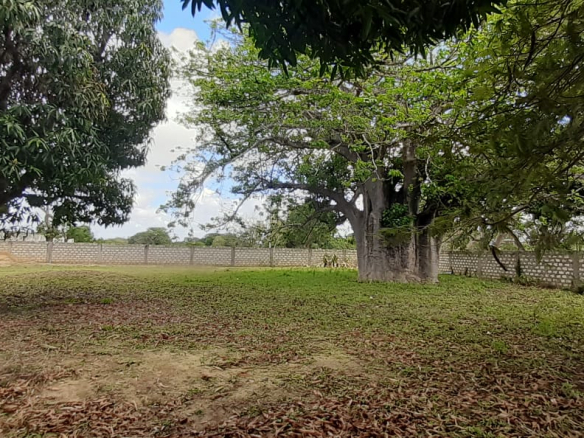 half-acre-near-light-academy-malindi-baobab