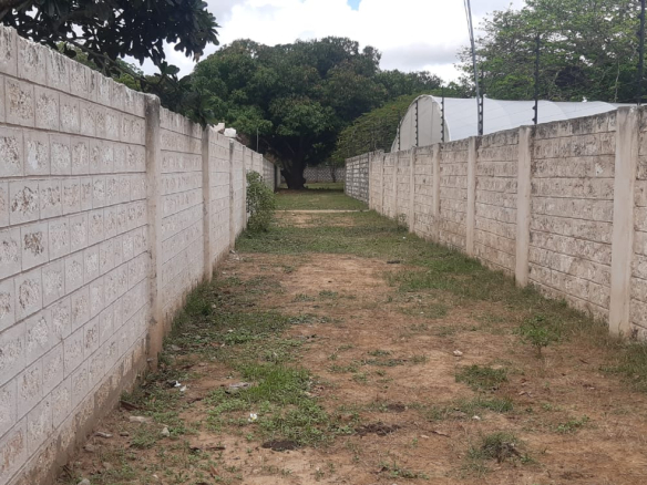 half-acre-near-light-academy-malindi-driveway
