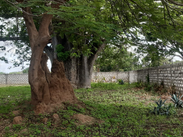 half-acre-near-light-academy-malindi-walled
