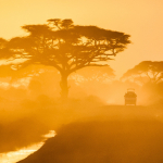 kenya