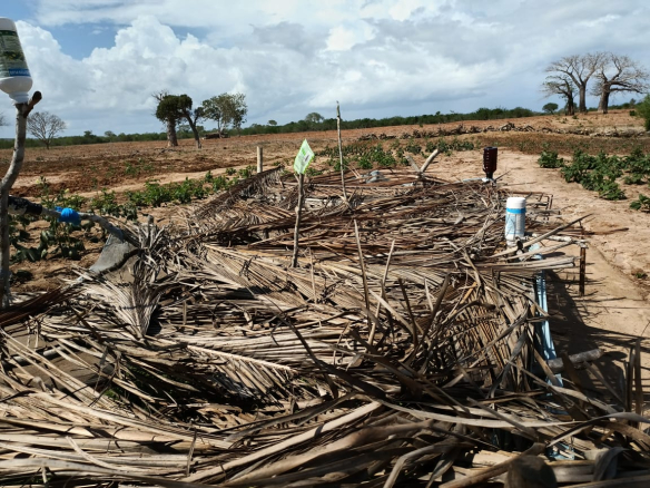 marereni-6-7-acres-for-sale