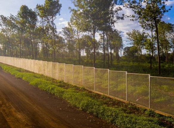 mkaazi-oakland-for-sale-1