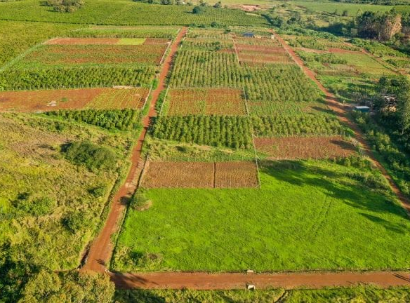 mkaazi-oakland-for-sale-2