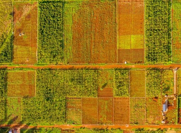 mkaazi-oakland-for-sale-3