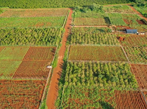 mkaazi-oakland-for-sale-4