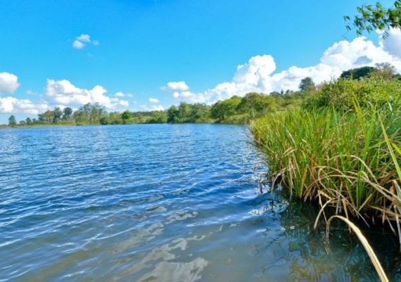 mkaazi-oakland-for-sale-5