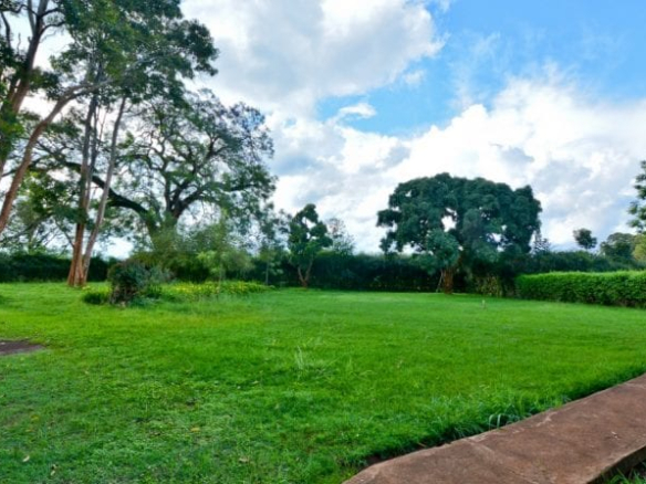 mkaazi-oakland-for-sale-7