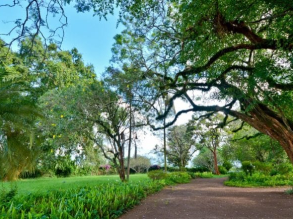 mkaazi-oakland-for-sale-8