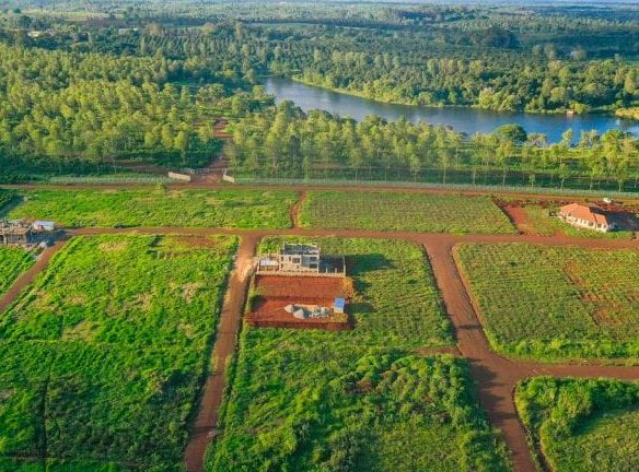 mkaazi-oakland-for-sale-9