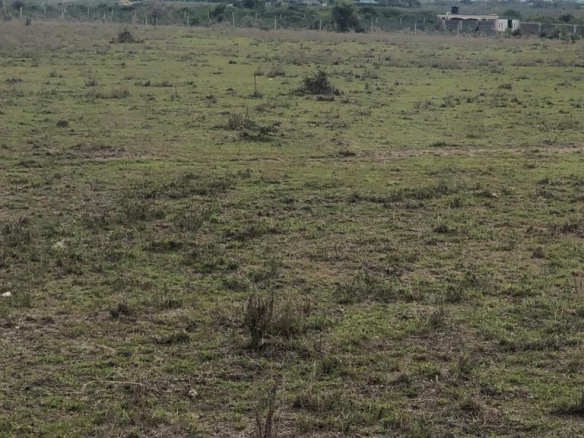 mkaazi-koma-hills-plots-5