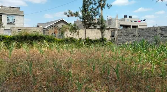 mkaazi-plot-for-sale-2