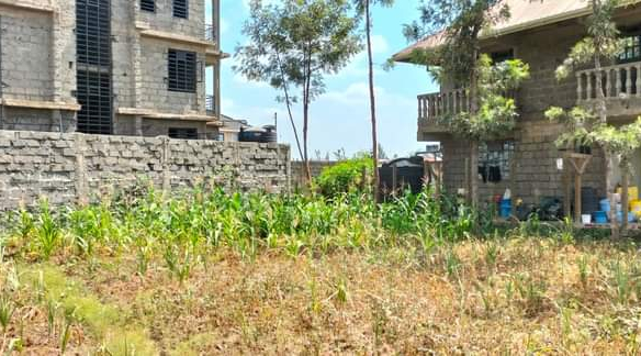 mkaazi-plot-for-sale-3