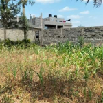 mkaazi-plot-for-sale-4