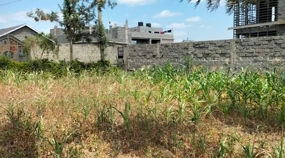 mkaazi-plot-for-sale-4