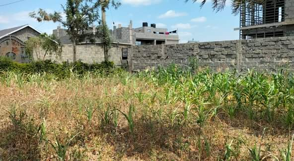 mkaazi-plot-for-sale-4