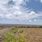 ocean-view-knoll-1-acres-for-sale-in-marereni