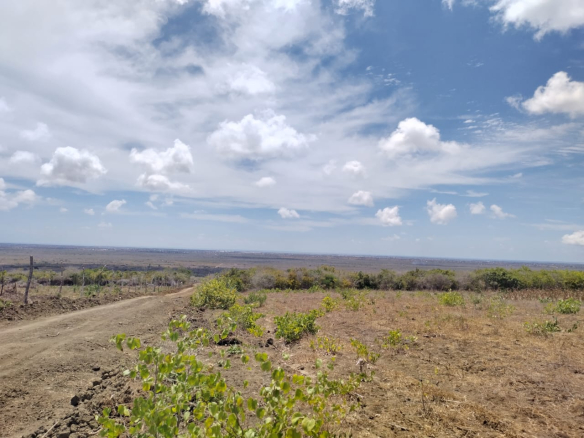 ocean-view-knoll-1-acres-for-sale-in-marereni