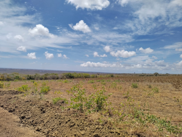 ocean-views-ocean-view-knoll-1-acres-for-sale-in-marereni