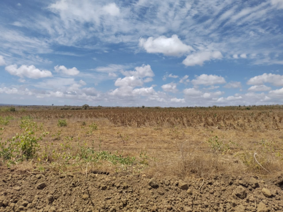 picturisque-ocean-view-knoll-1-acres-for-sale-in-marereni