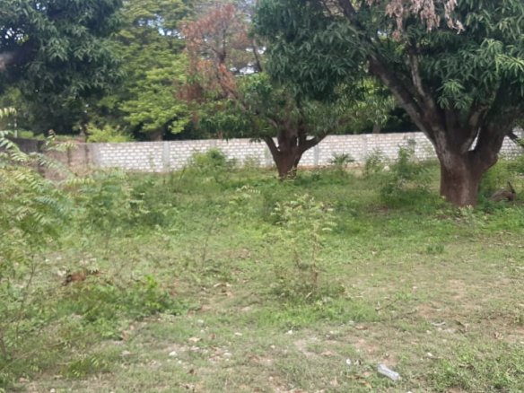 quarter-acre-foe-sale-in-malindi-next-tomwembe-resort-2-2
