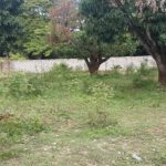 quarter-acre-foe-sale-in-malindi-next-tomwembe-resort-2-592x444-6009604