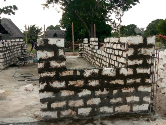 tamu-shari-view-greenery