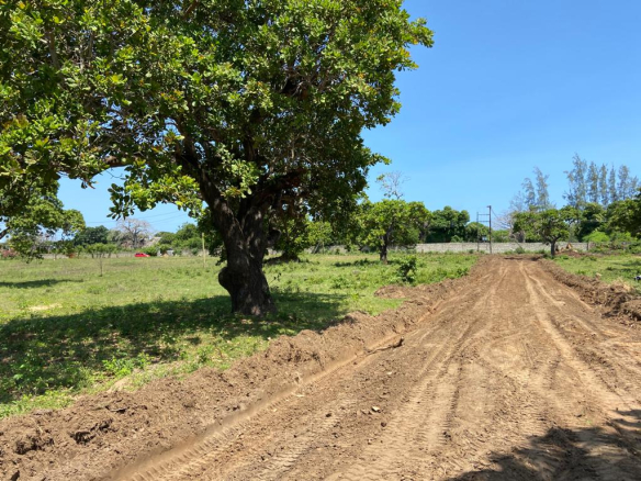 tamu-shairi-plots-access-road