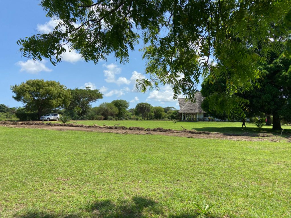 tamu-shairi-plots-club-house