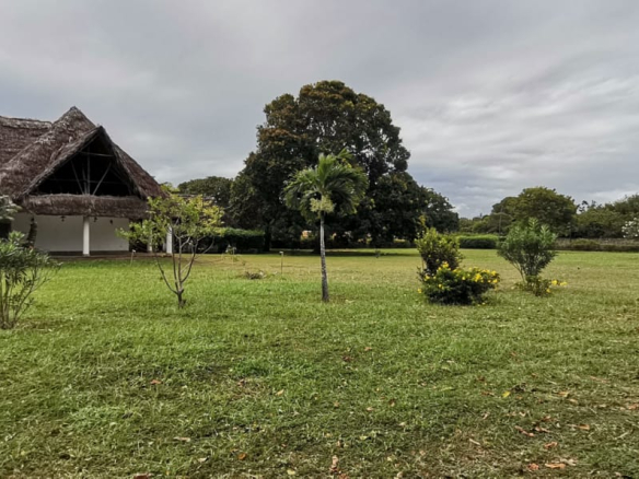 tamu-shairi-plots-views