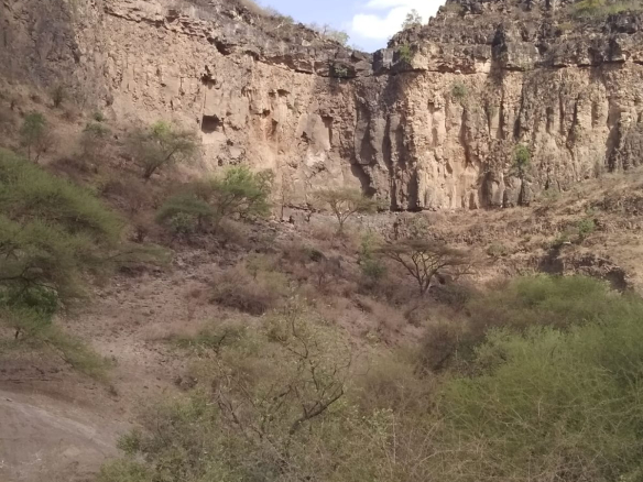 tinga-pitcuresque-ranch-for-sale