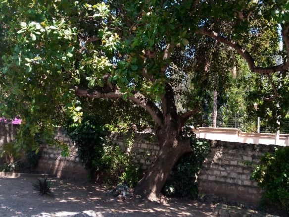 2 bedroom house for sale in Malindi