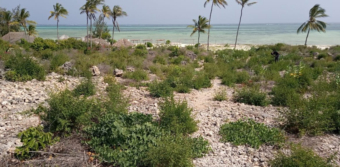 Beach land for sale in Kilifi