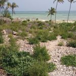 Beach land for sale in Kilifi