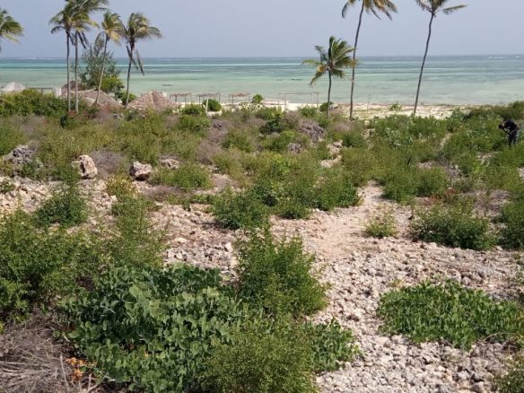 Beach land for sale in Kilifi