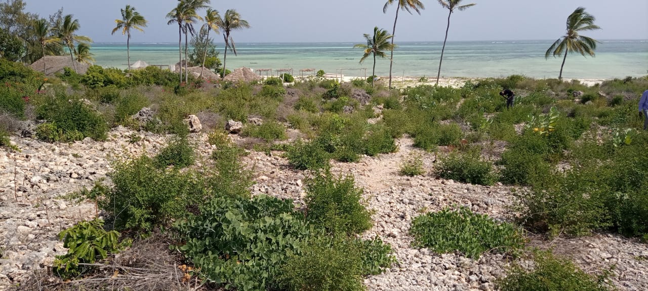 Beach land for sale in Kilifi