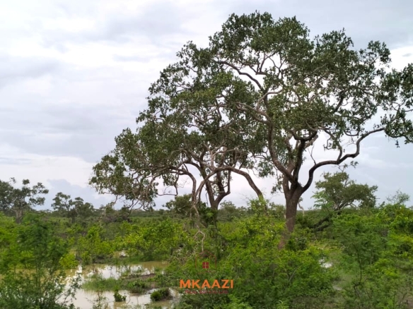 1 Acre Plots for Sale in Chakama Malindi
