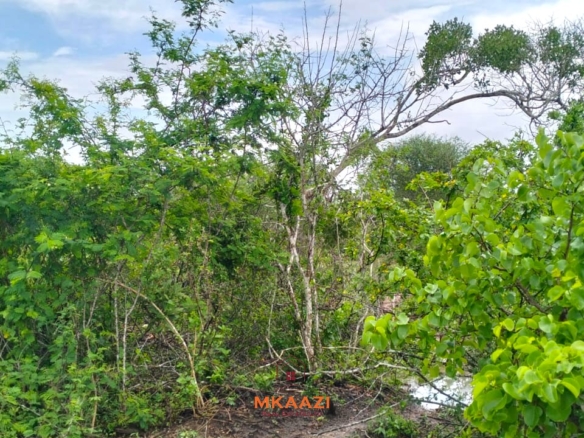 1 Acre Plots for Sale in Chakama Malindi