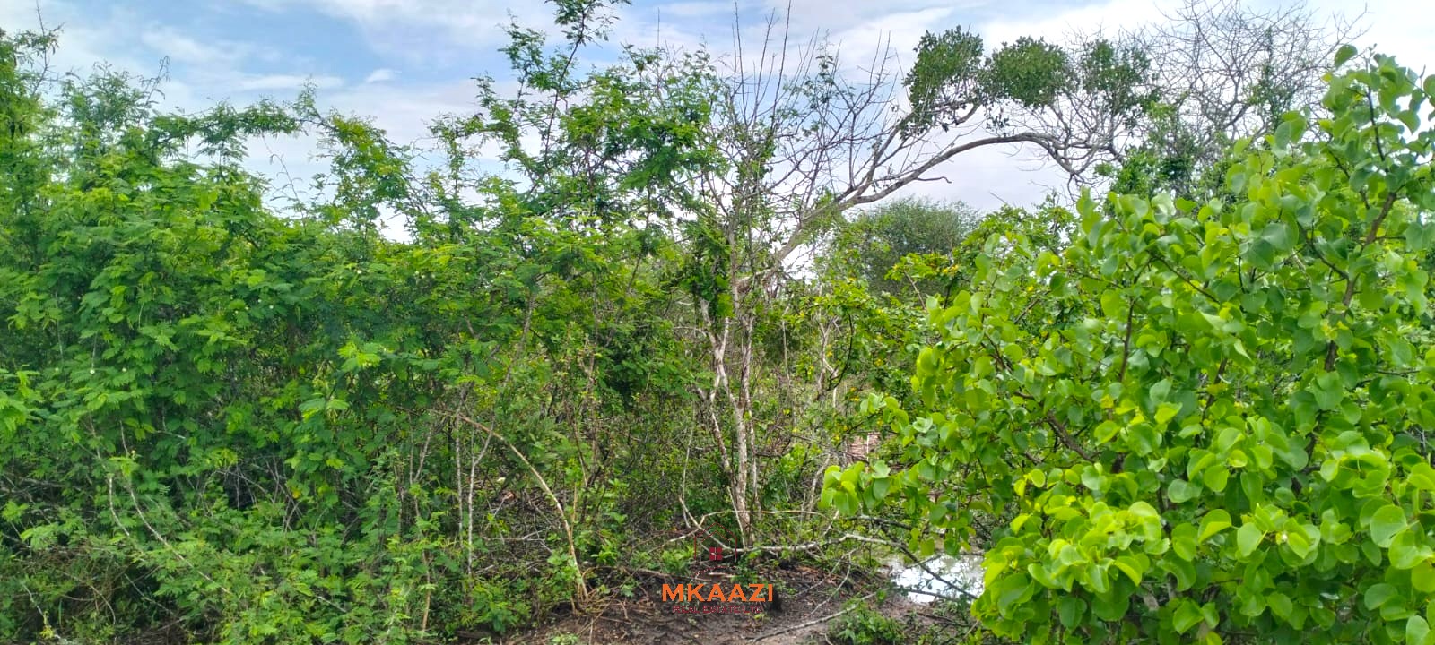 1 Acre Plots for Sale in Chakama Malindi