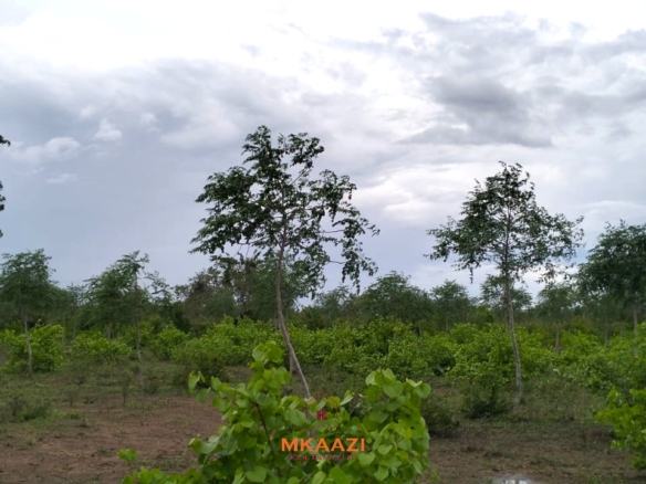 1 Acre Plots for Sale in Chakama Malindi