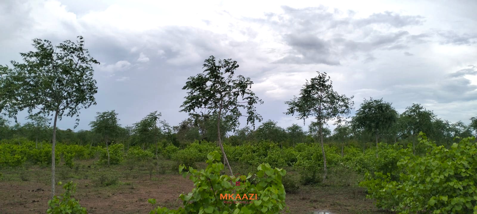 1 Acre Plots for Sale in Chakama Malindi