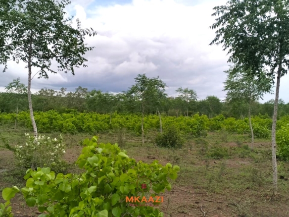 1 Acre Plots for Sale in Chakama Malindi