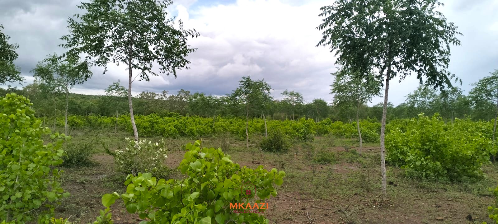 1 Acre Plots for Sale in Chakama Malindi