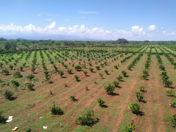 land-for-sale-in-taveta