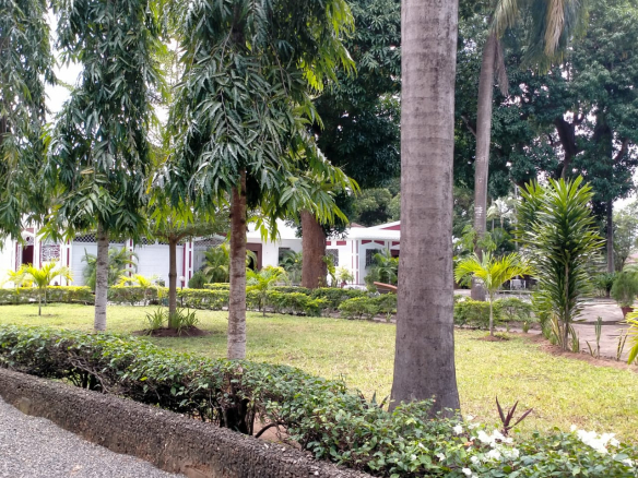 12br-house-with-a-pool-in-malindi-for-sale-mature-trees