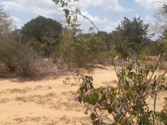 15-acres-for-sale-in-kawewanje